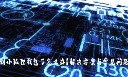 搜不到小狐狸钱包了怎么办？解决方案与常见问题解答