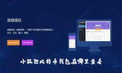 小狐狸比特币钱包在哪里