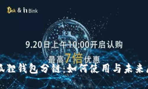 小狐狸钱包分链：如何使用与未来展望