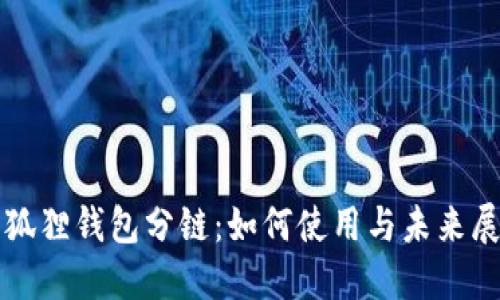 小狐狸钱包分链：如何使用与未来展望