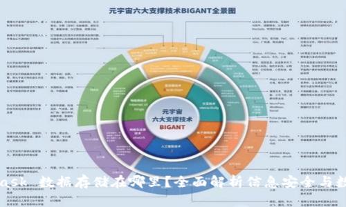 MetaMask 数据存储在哪里?全面解析信息安全与数据管理