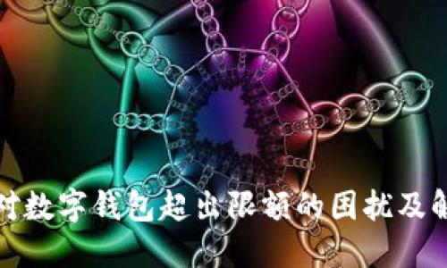 如何应对数字钱包超出限额的困扰及解决方案