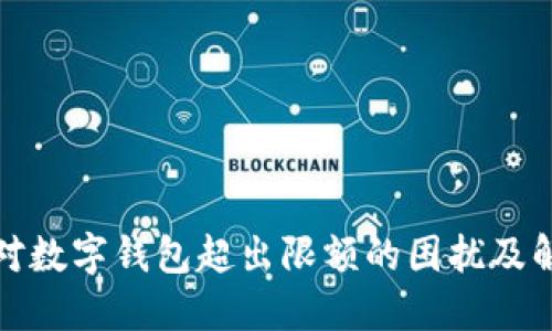 如何应对数字钱包超出限额的困扰及解决方案