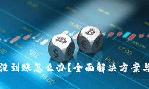 小狐狸钱包币没到账怎么办?全面解决方案与常见问题解答