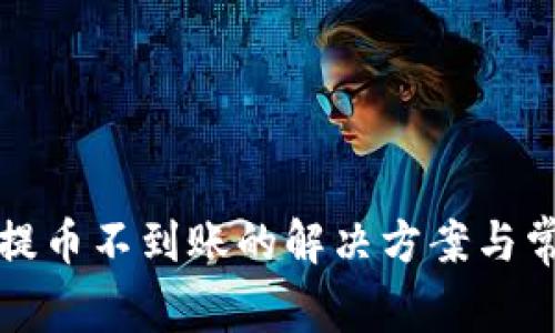 小狐狸钱包提币不到账的解决方案与常见问题解析