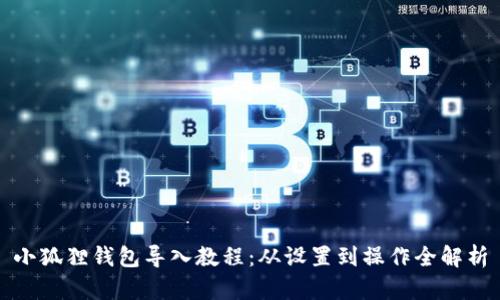 小狐狸钱包导入教程：从设置到操作全解析