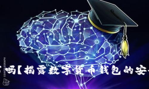 钱包小狐狸被骗了吗？揭露数字货币钱包的安全隐患与防骗技巧