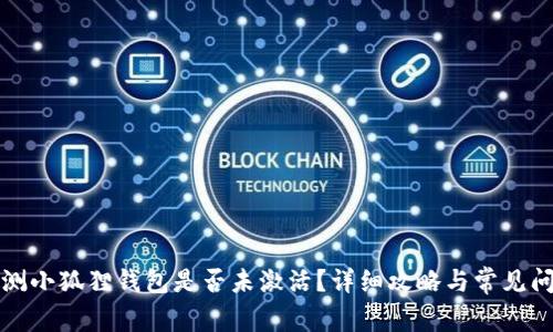 如何检测小狐狸钱包是否未激活?详细攻略与常见问题解答
