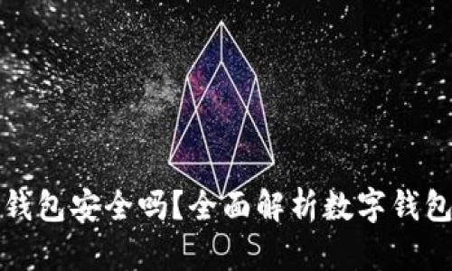 丽达数字钱包安全吗?全面解析数字钱包的安全性