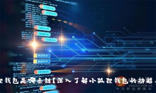 小狐狸钱包是哪条链?深入了解小狐狸钱包的功能与优势