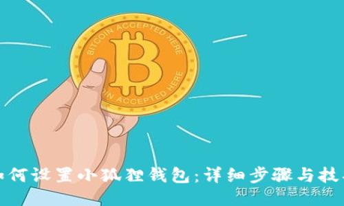 如何设置小狐狸钱包：详细步骤与技巧