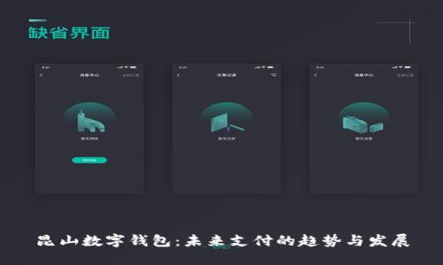 昆山数字钱包：未来支付的趋势与发展