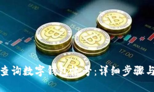 如何查询数字钱包帐号:详细步骤与技巧