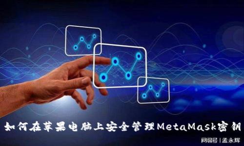 如何在苹果电脑上安全管理MetaMask密钥