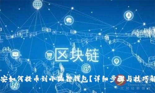 币安如何提币到小狐狸钱包?详细步骤与技巧解析