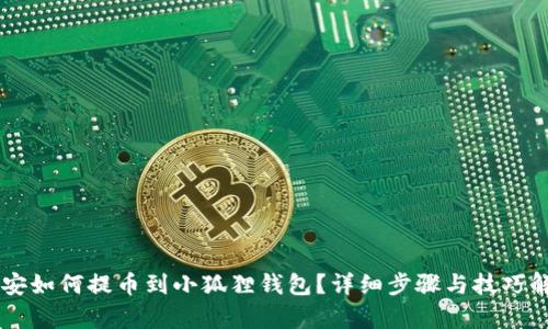 币安如何提币到小狐狸钱包?详细步骤与技巧解析