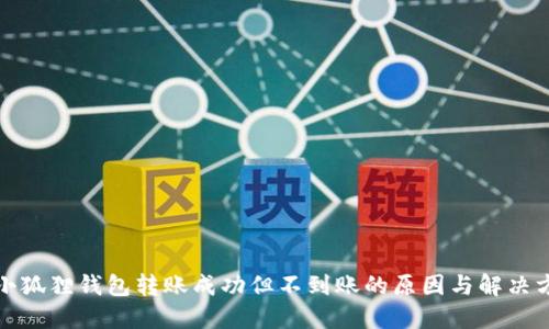 : 小狐狸钱包转账成功但不到账的原因与解决方法