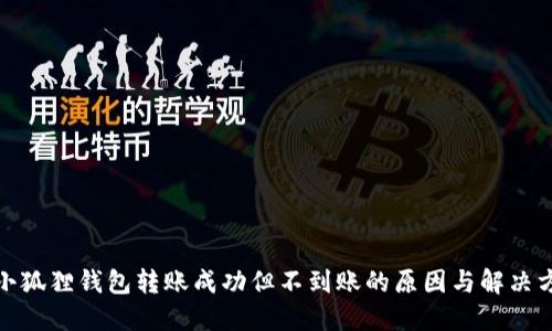 : 小狐狸钱包转账成功但不到账的原因与解决方法