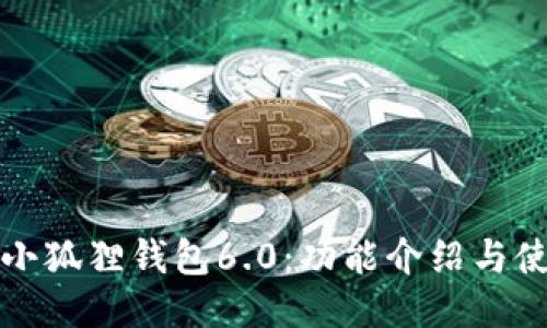 最新版小狐狸钱包6.0:功能介绍与使用指南
