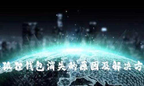 小狐狸钱包消失的原因及解决方法