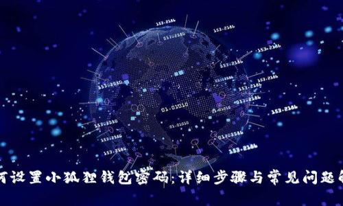 如何设置小狐狸钱包密码:详细步骤与常见问题解答