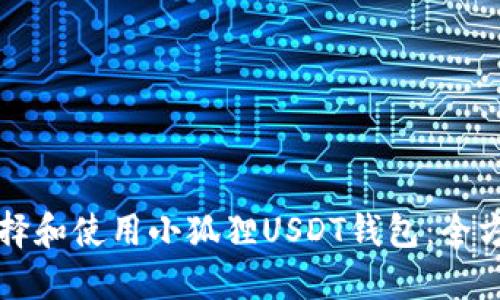 如何选择和使用小狐狸USDT钱包:全方位指南