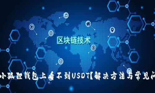 为什么小狐狸钱包上看不到USDT?解决方法与常见问题解析