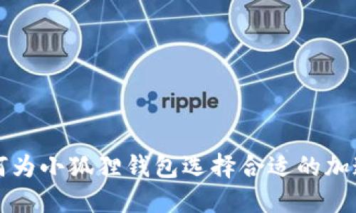 如何为小狐狸钱包选择合适的加速器