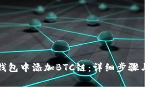 如何在小狐狸钱包中添加BTC链:详细步骤与常见问题解答