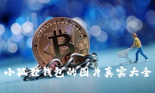 小狐狸钱包的图片真实大全