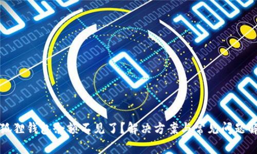 小狐狸钱包余额不见了?解决方案与常见问题解答