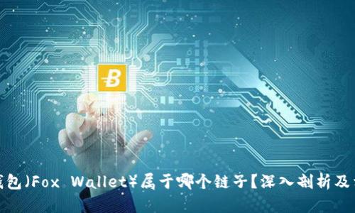 小狐狸钱包(Fox Wallet)属于哪个链子?深入剖析及相关内容