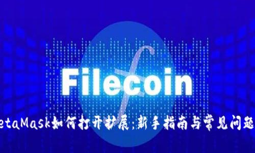 : MetaMask如何打开扩展:新手指南与常见问题解答