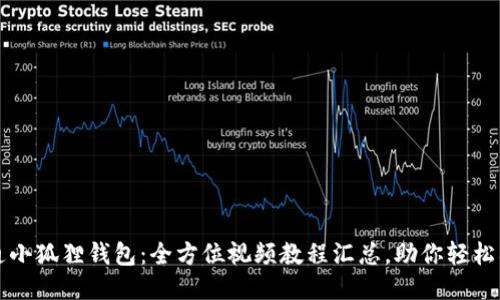 精通小狐狸钱包：全方位视频教程汇总，助你轻松入门