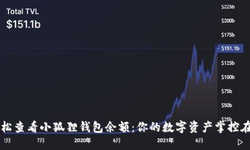 轻松查看小狐狸钱包余额：你的数字资产掌控在手