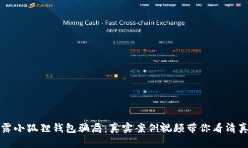 揭露小狐狸钱包骗局：真实案例视频带你看清真相
