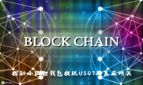 探秘小狐狸钱包提现USDT的真正网关