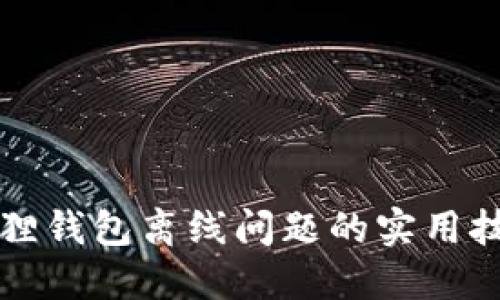 解决小狐狸钱包离线问题的实用技巧与方法