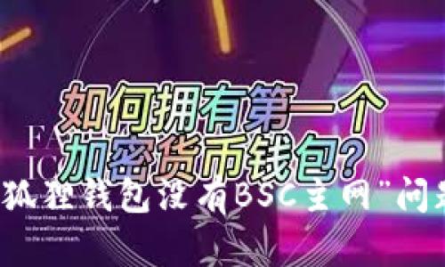 解决“手机小狐狸钱包没有BSC主网”问题的详细指南