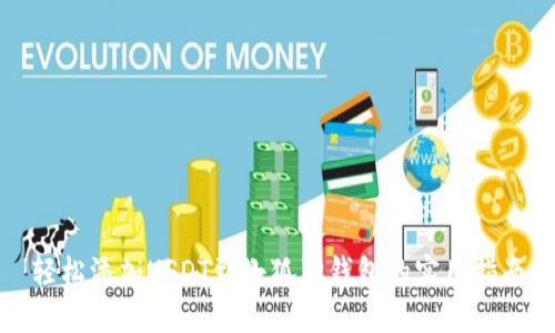 轻松添加USDT到小狐狸钱包的实用指南