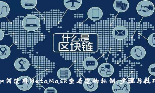如何使用MetaMask查看您的私钥：步骤与技巧