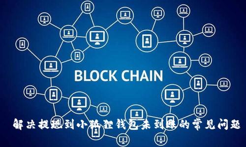  解决提现到小狐狸钱包未到账的常见问题