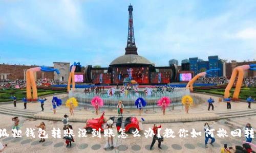 小狐狸钱包转账没到账怎么办？教你如何撤回转账！