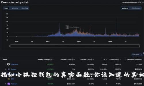 揭秘小狐狸钱包的真实面貌：你该知道的真相