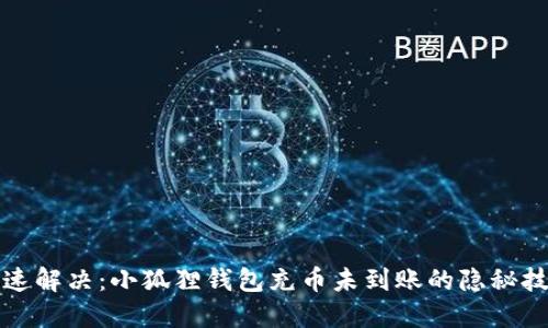 快速解决：小狐狸钱包充币未到账的隐秘技巧