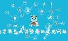 解决数字钱包无法登录的