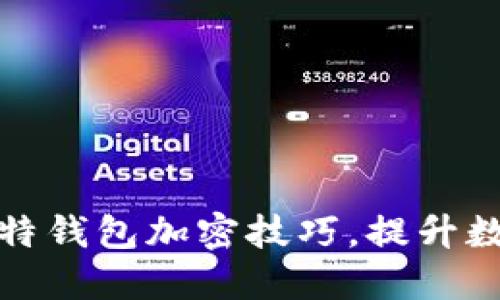 轻松掌握莱特钱包加密技巧，提升数字资产安全