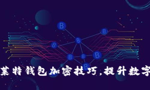 轻松掌握莱特钱包加密技巧，提升数字资产安全