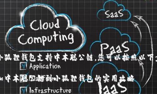 为了让小狐狸钱包支持中本聪公链，您可以按照以下步骤操作

轻松添加中本聪公链到小狐狸钱包的实用攻略