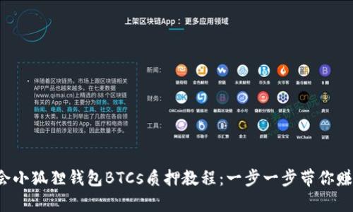 轻松学会小狐狸钱包BTCs质押教程：一步一步带你赚取收益！